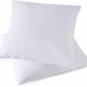 Wholesale Pillow Form