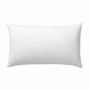 Pillow Forms 10 ozs - 12 X 16 Rectangle