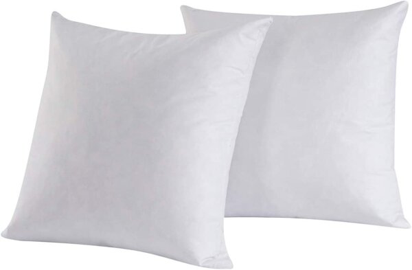 Square pillow form