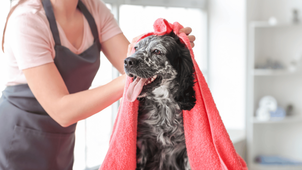 Dog Bath Towels